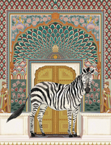 Zebra in Jaipur
