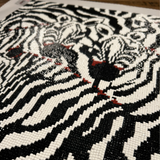 Zebradelic